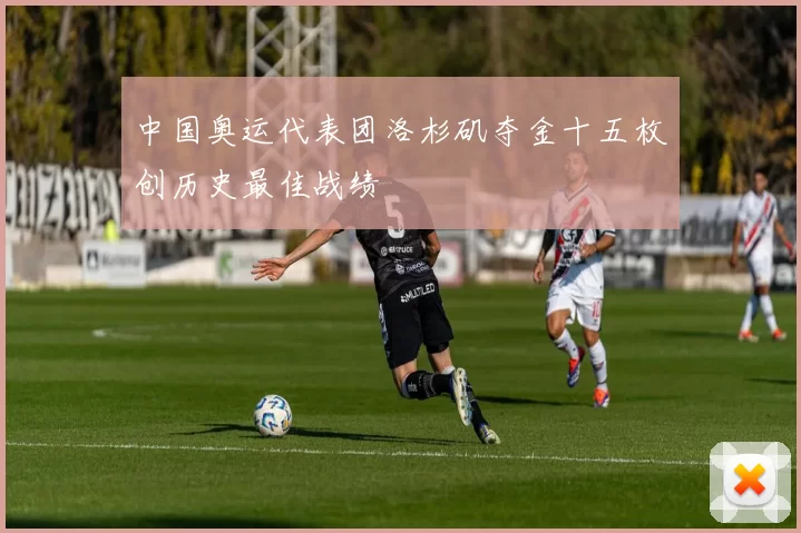 中国奥运代表团洛杉矶夺金十五枚创历史最佳战绩