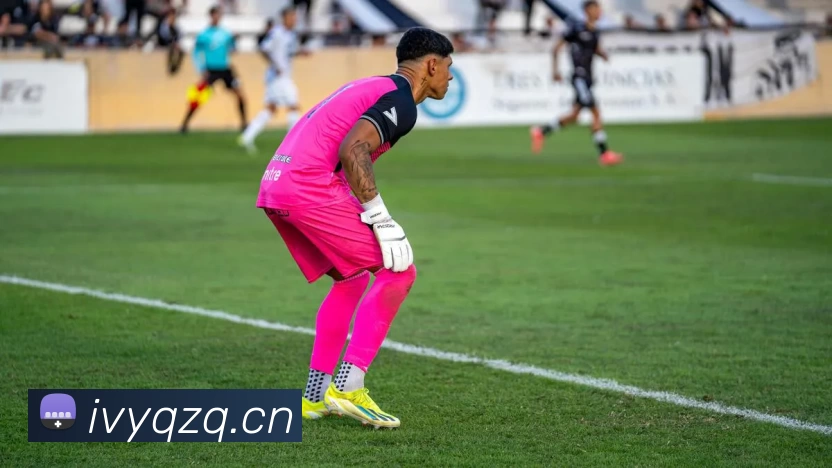 App Interface Preview