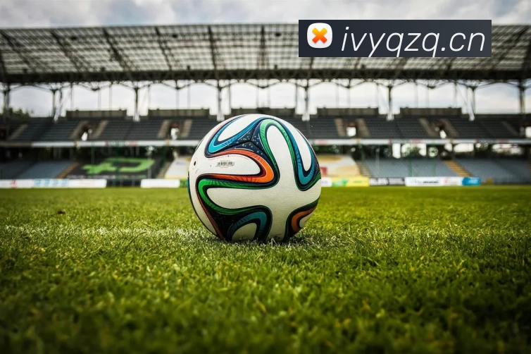 196体育最新官方网站下载(中国) - 官方网站APP 封面图